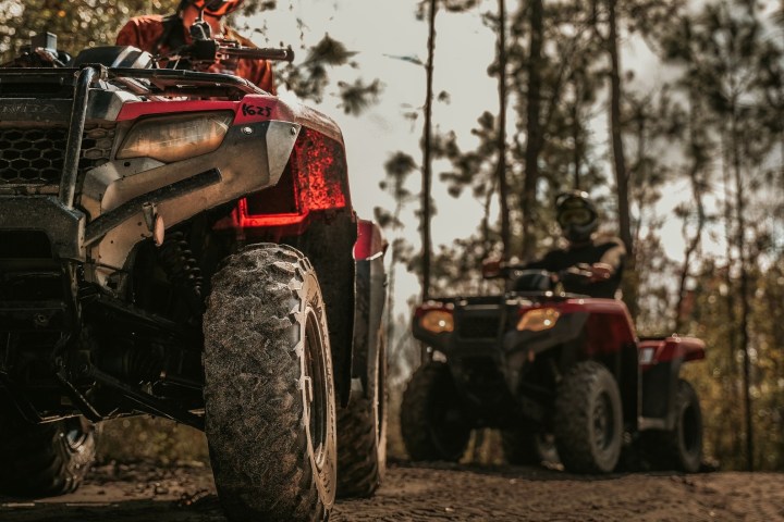 Two people riding red ATVs on a forest trail.