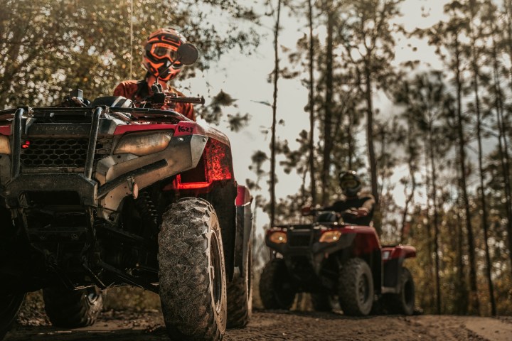 Two people riding ATVs in a forested area.